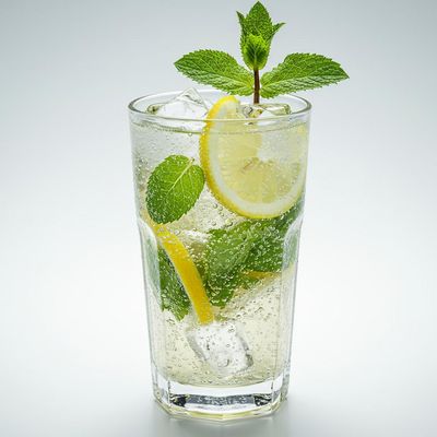 Virgin Mojito
